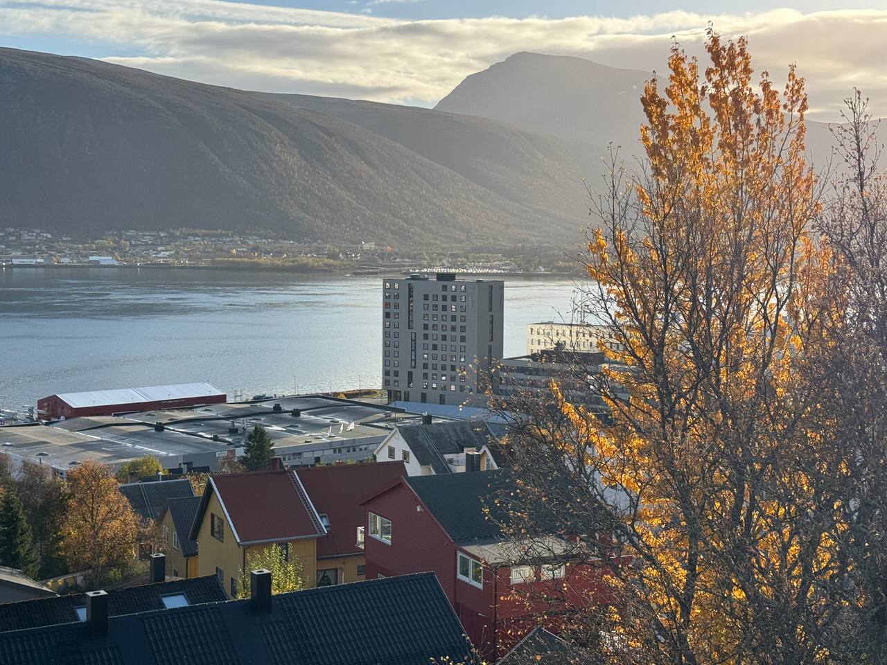 View from livingroom 
