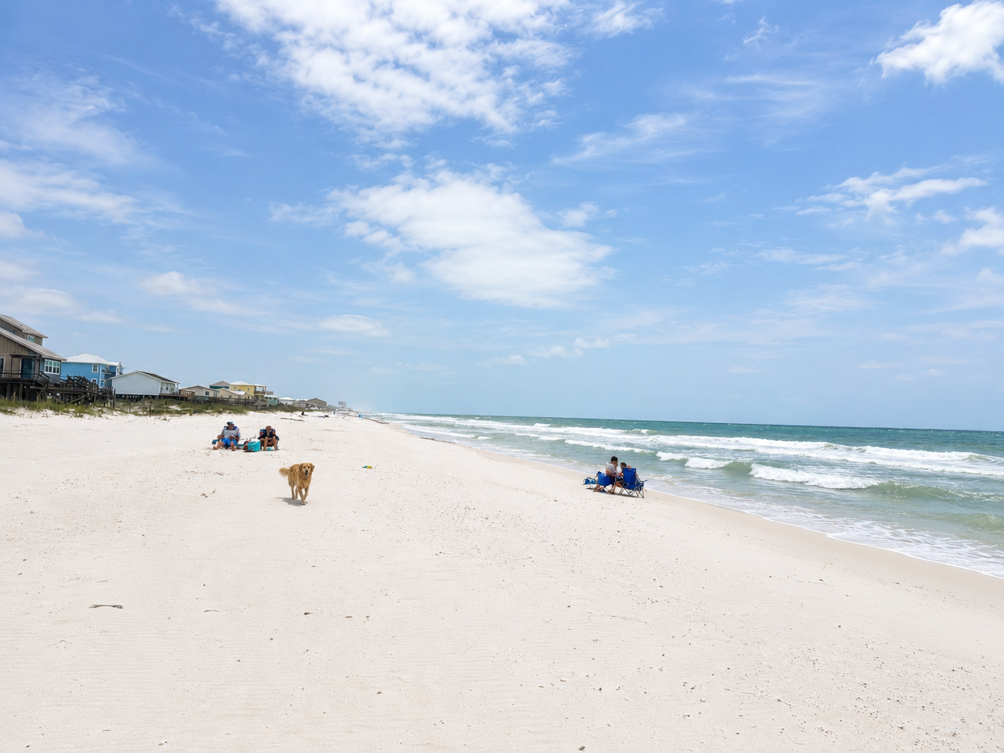 Dog friendly beach!