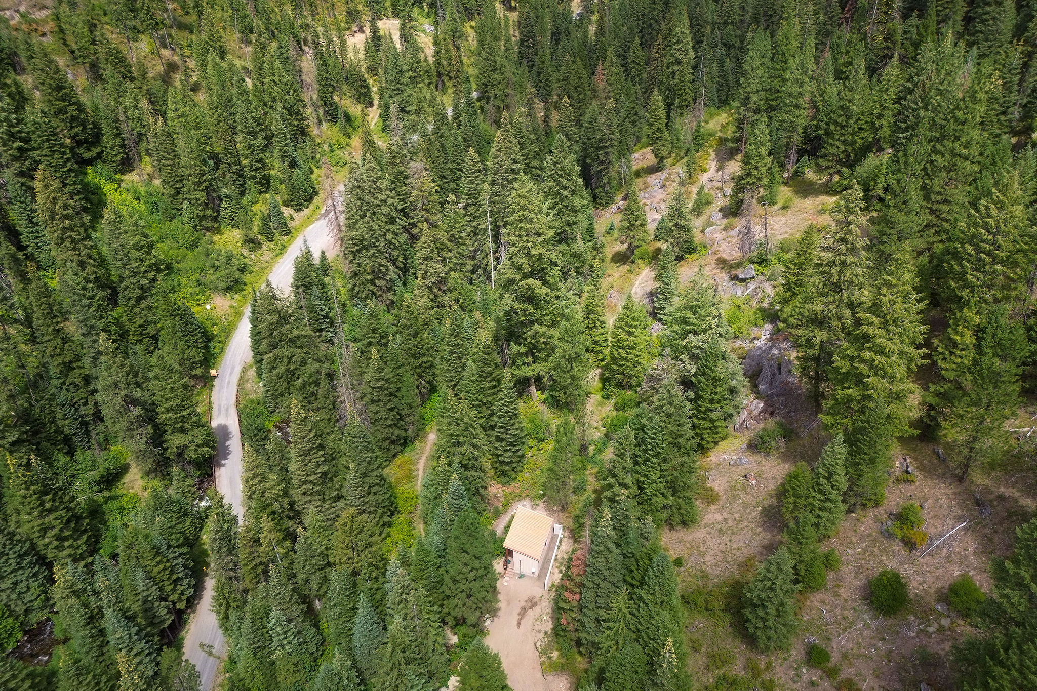 The cottage is surrounded by 10 acres of serene forests