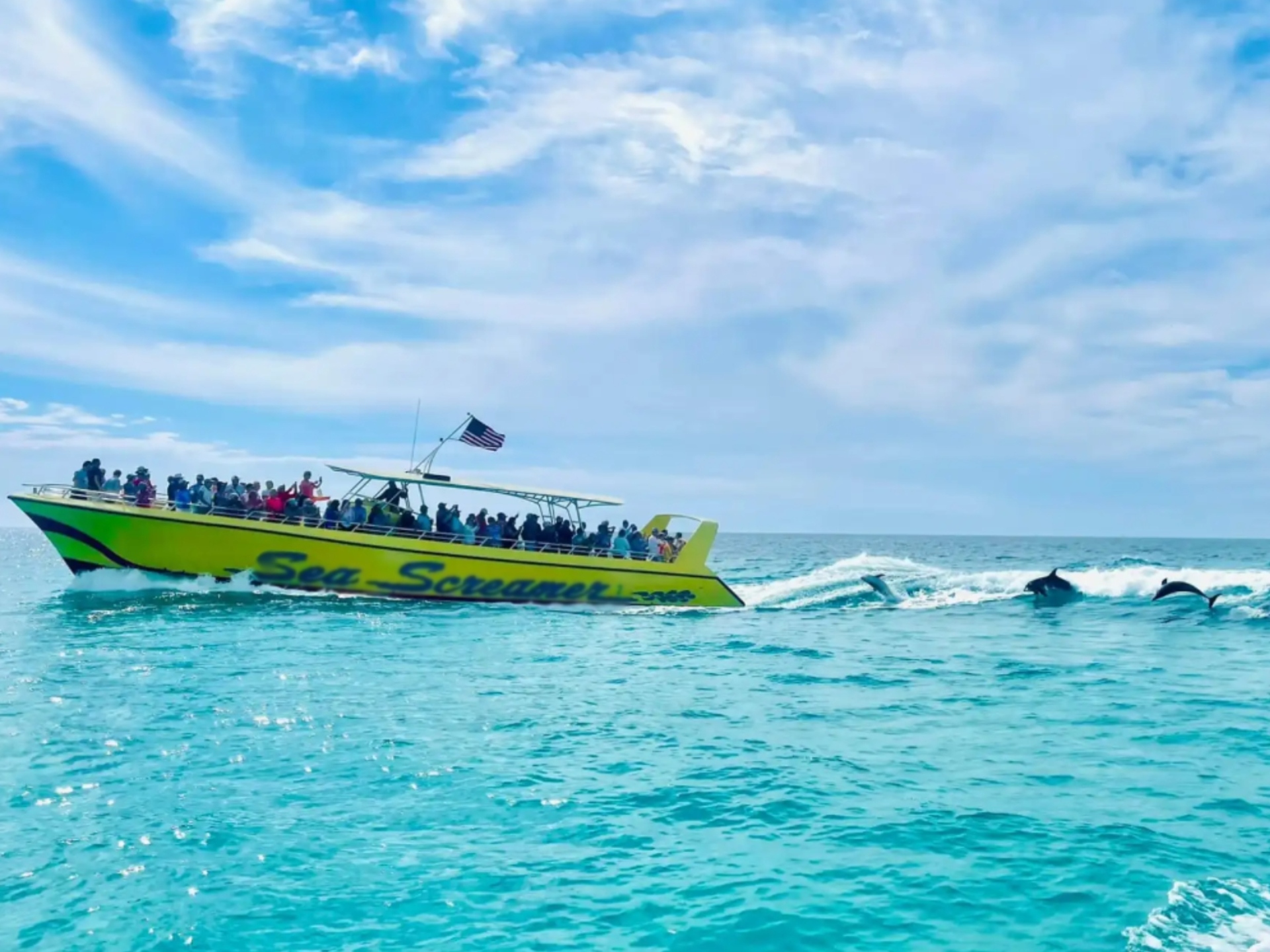 Sea Screamer dolphin tour