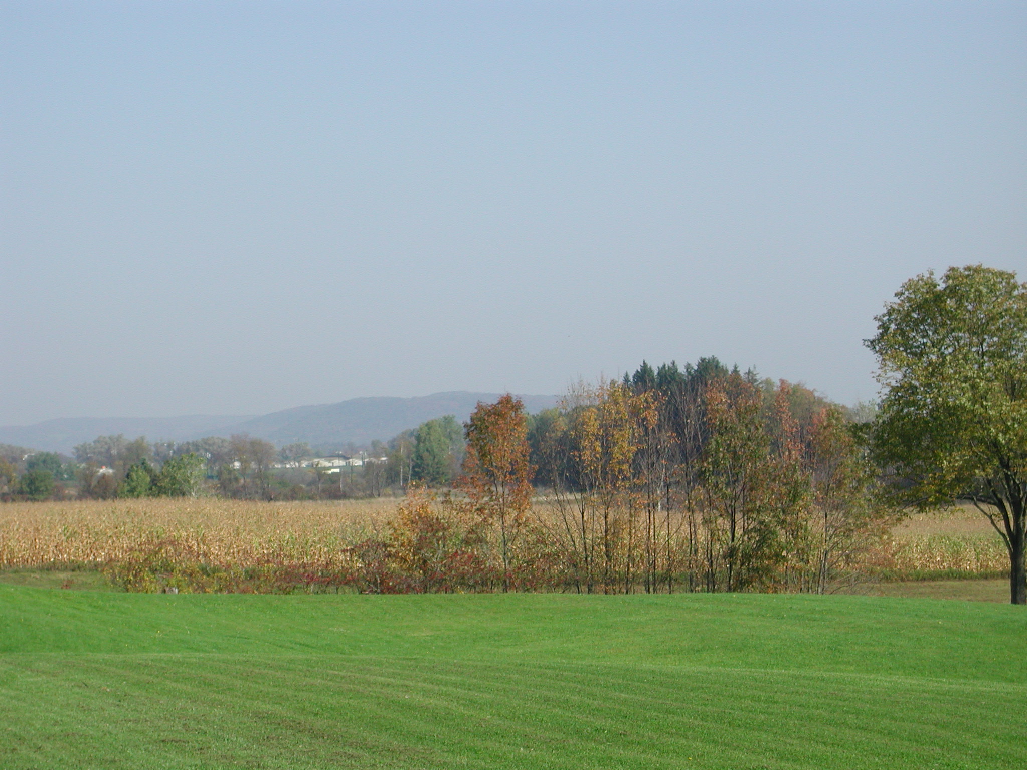 View from deck looking north, Players Village in distance