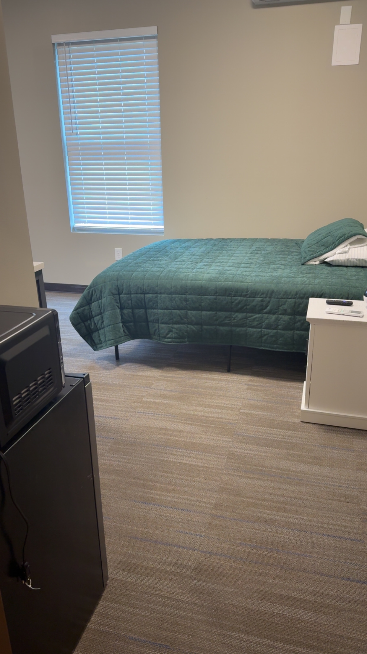 Bedroom, Fridge And Microwave
