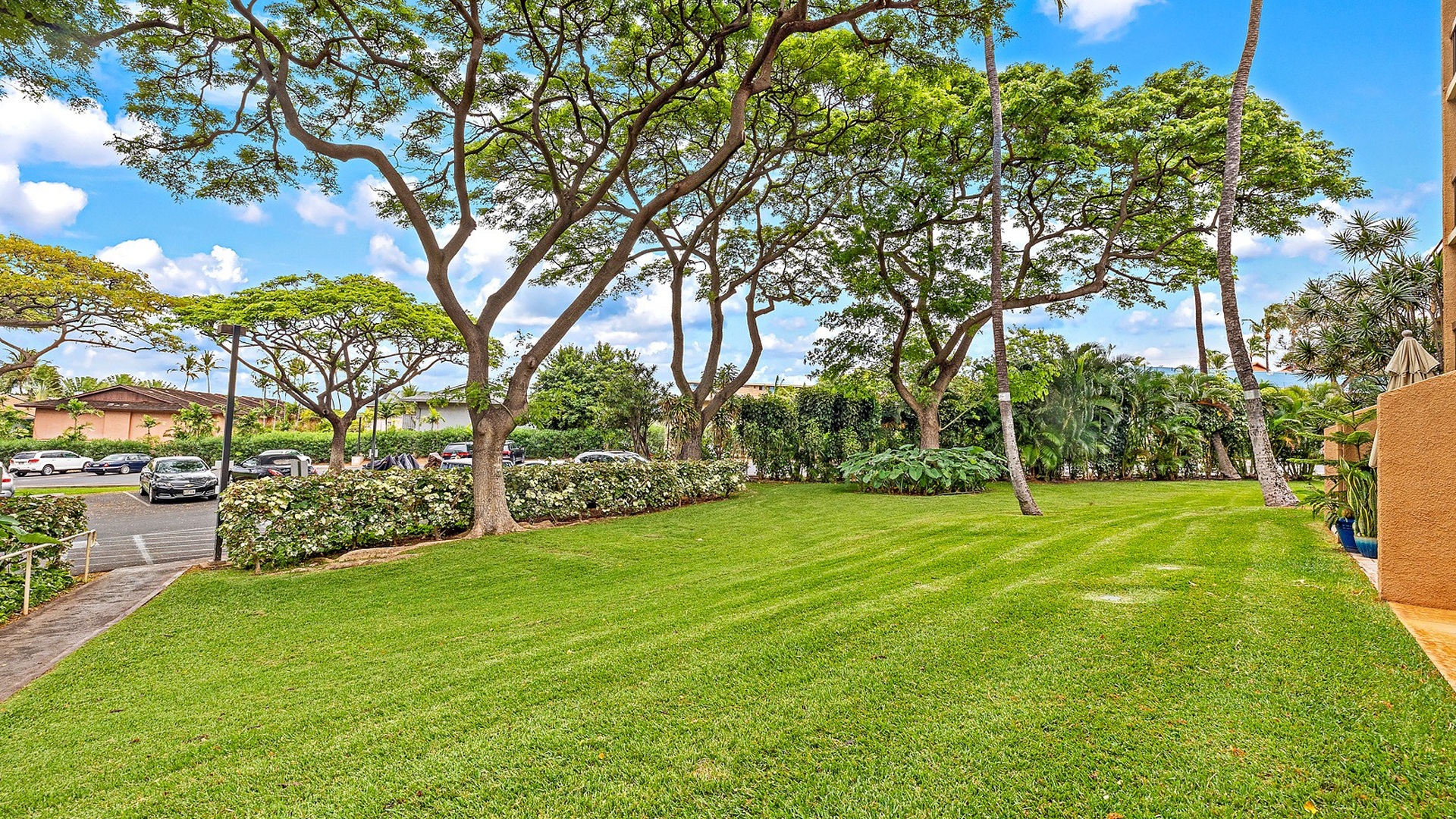 Garden view from the lanai