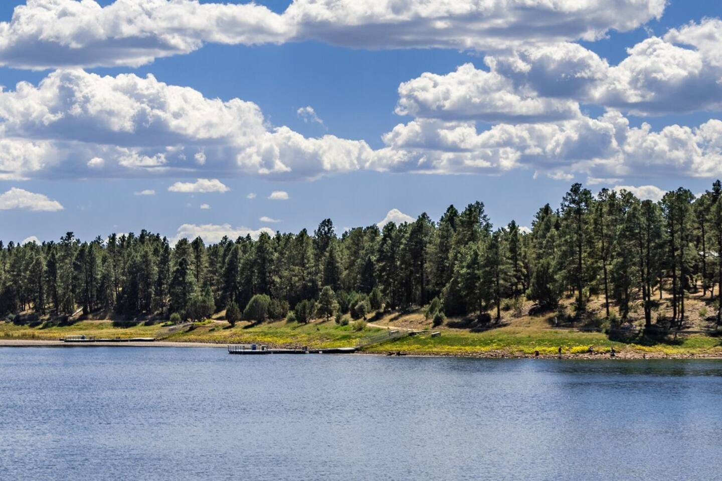 Jackson Lake,  a little lake tucked back in Pinetop Country Club just a 100 yards from our hideaway.