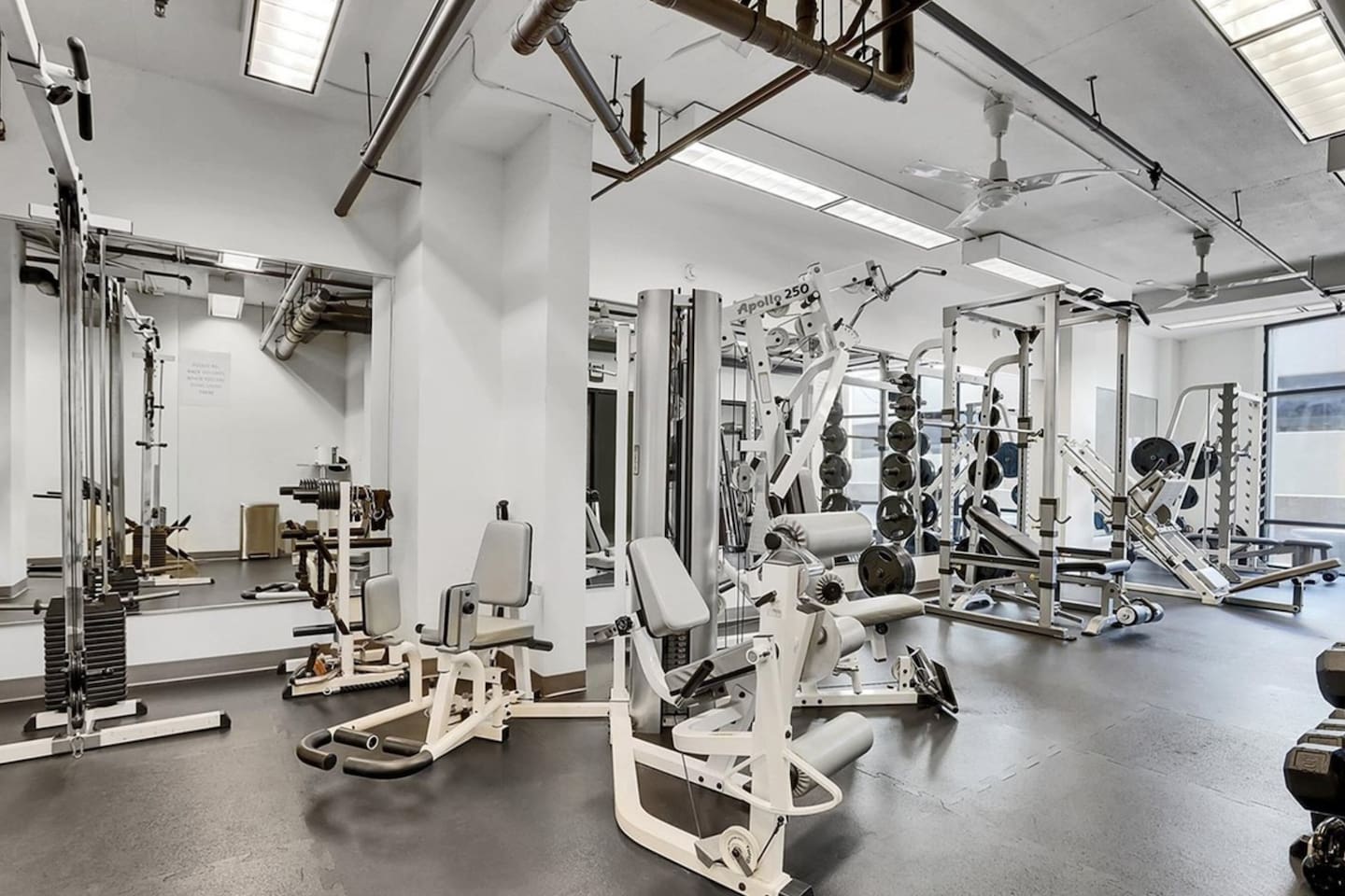 Gym