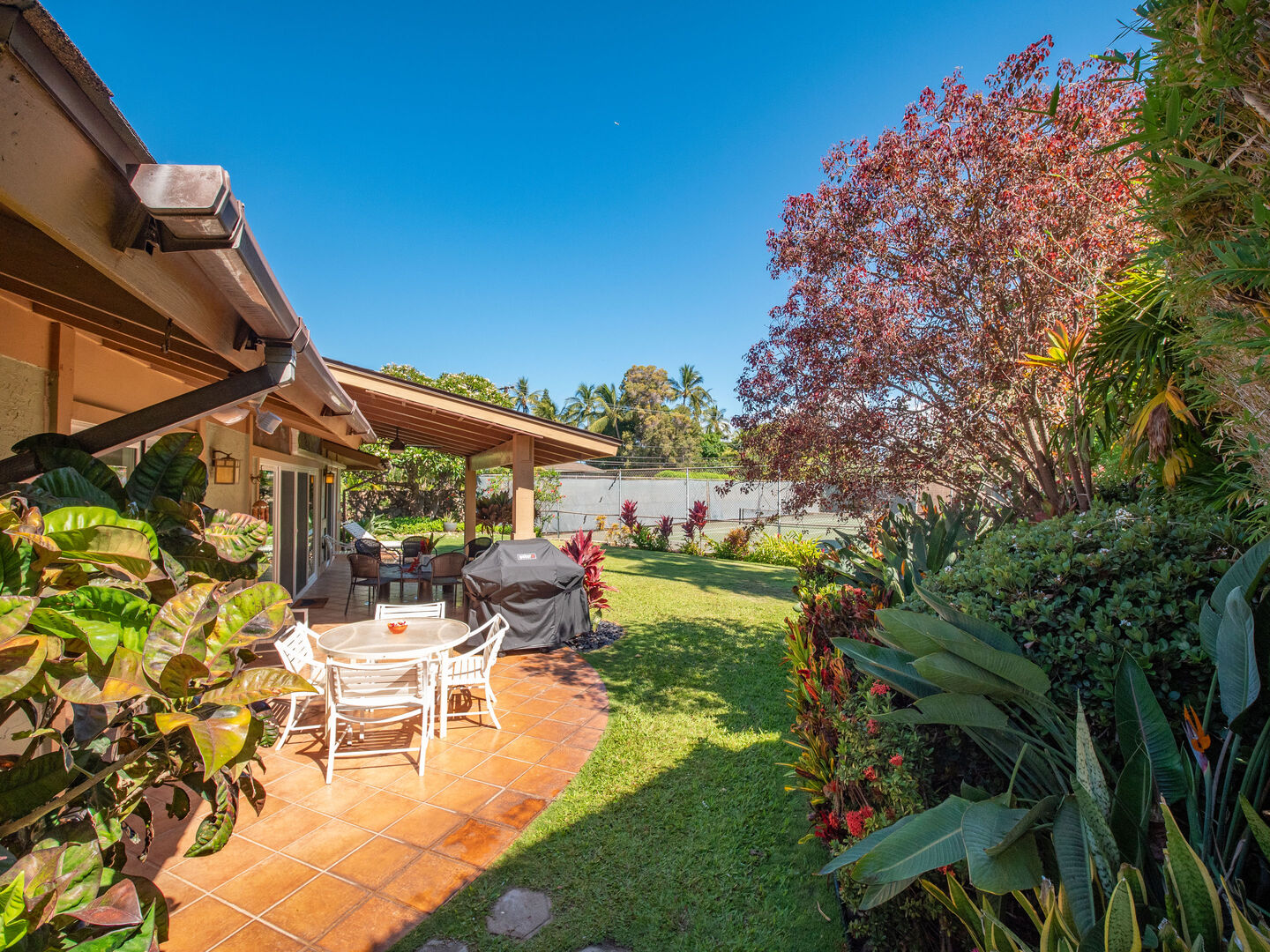 Back yard