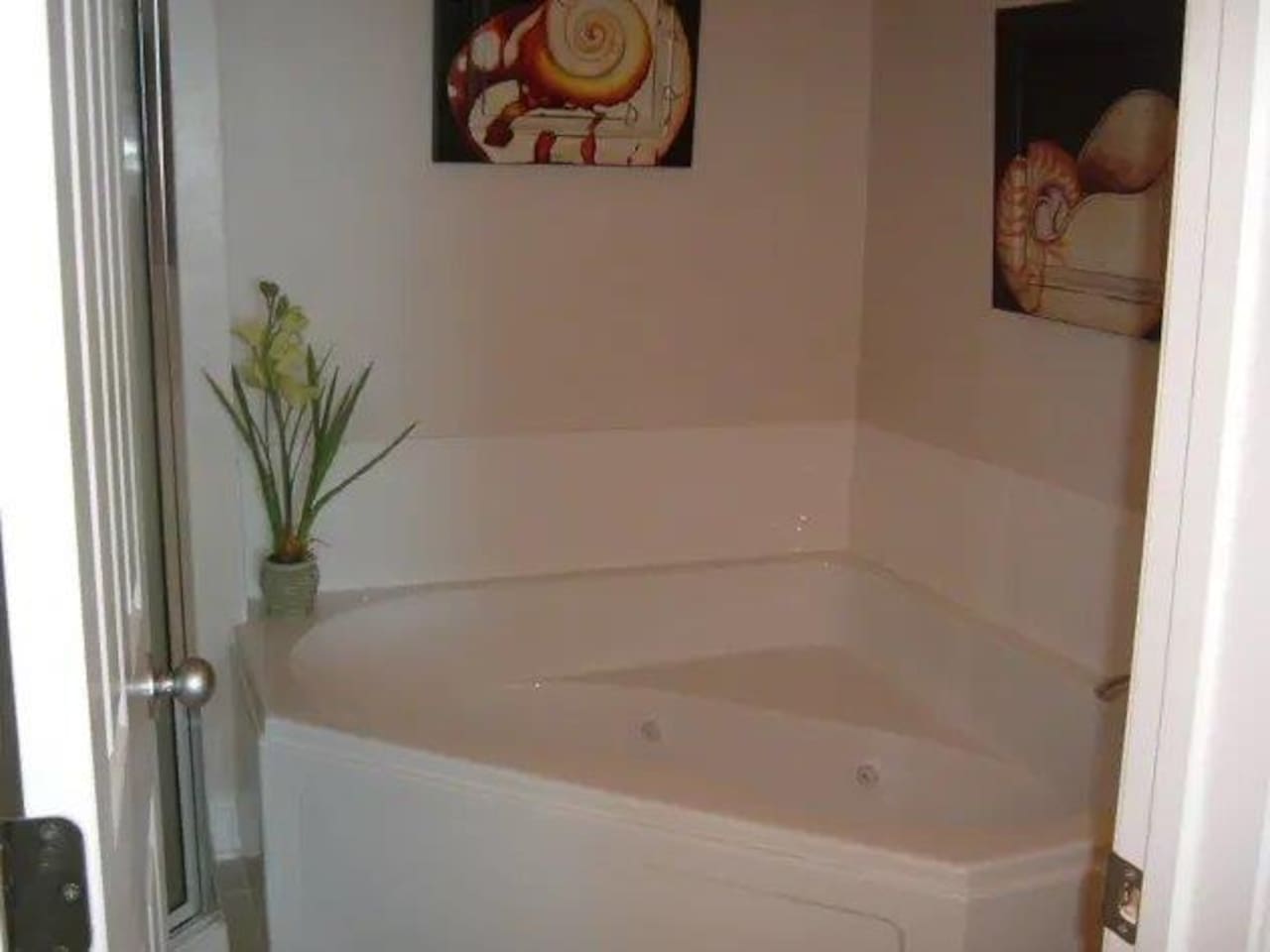 Jetted tub in Master bedroom.