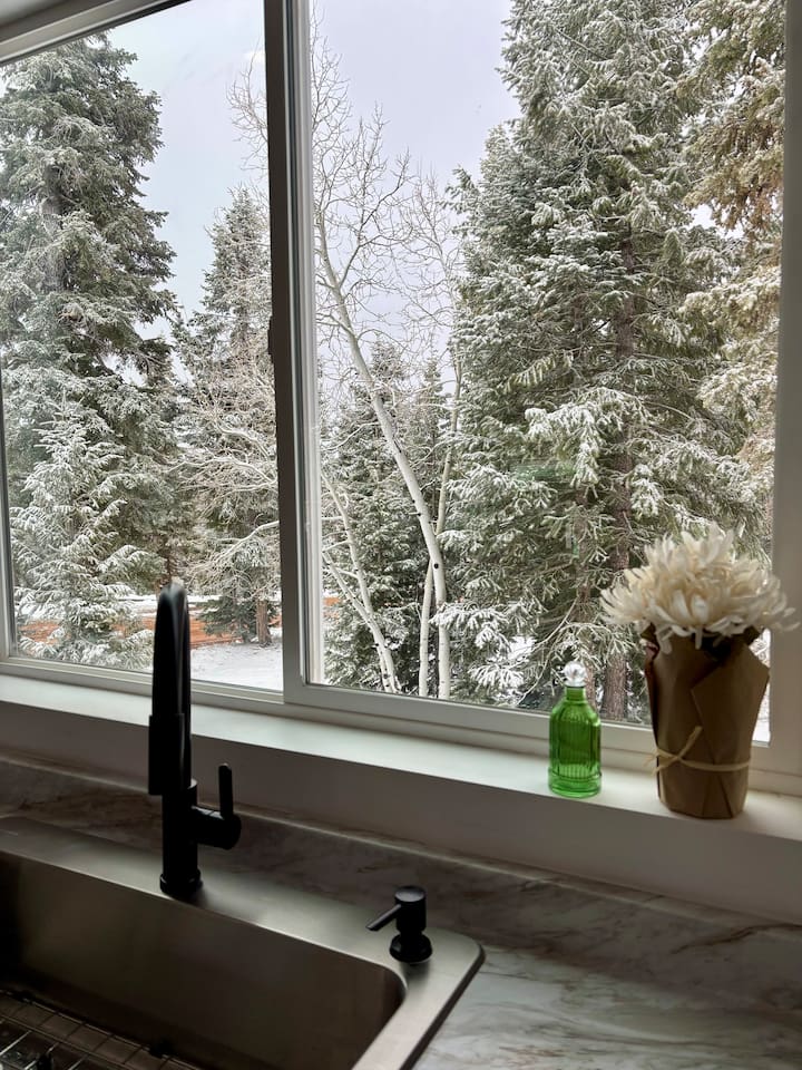 Looking out the window from the kitchen sink. A great view while cleaning up after a meal or preparing a hot cup of coffee