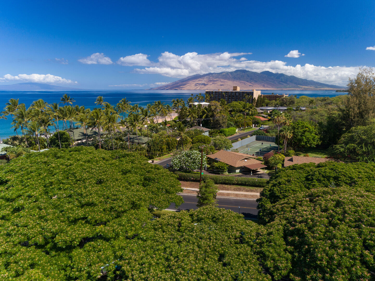 South Maui Living