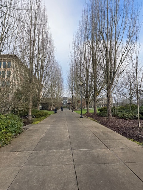 Walkway along Natural Resources buliding from Chestnut house to Capitol