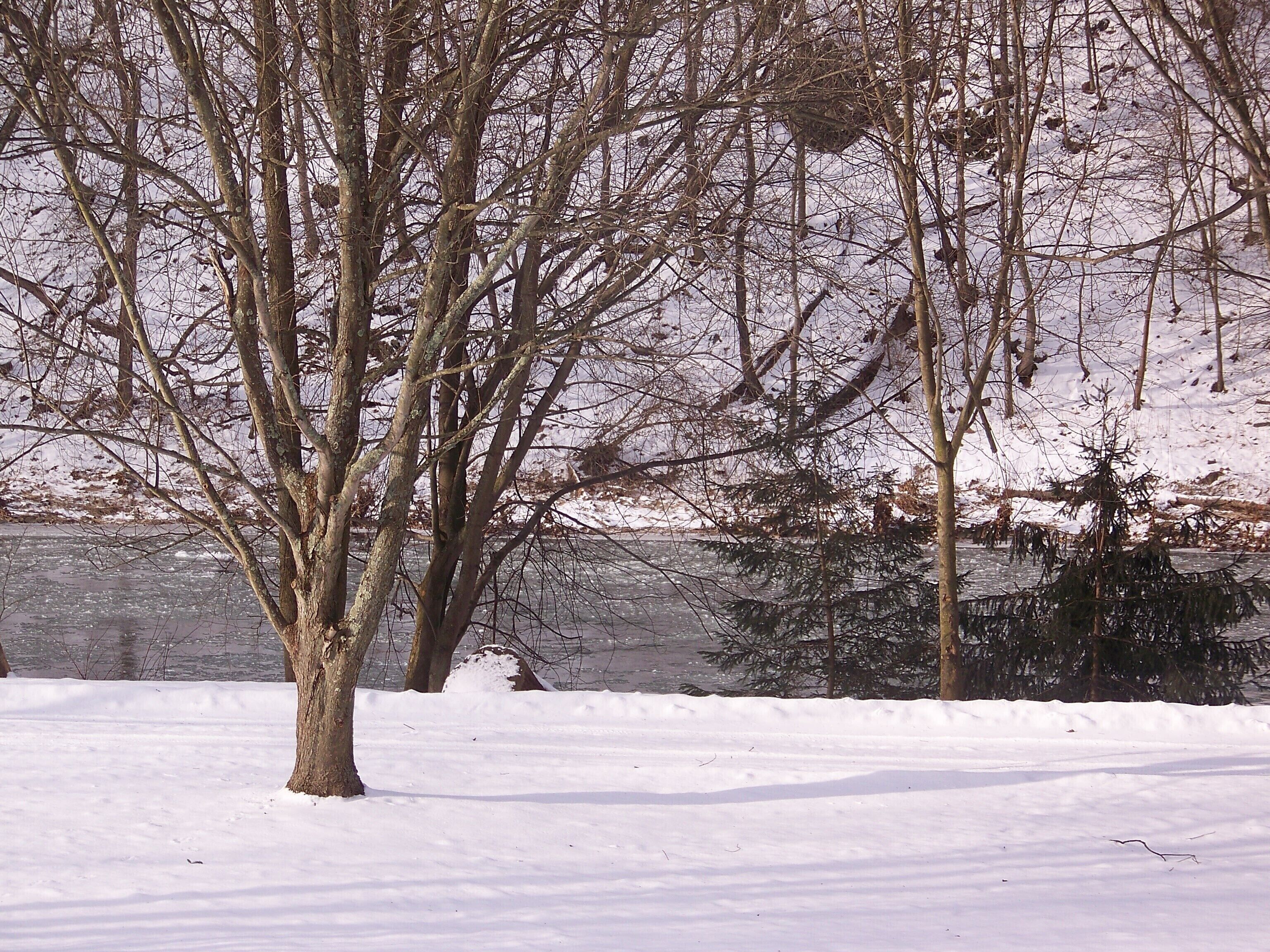 winter