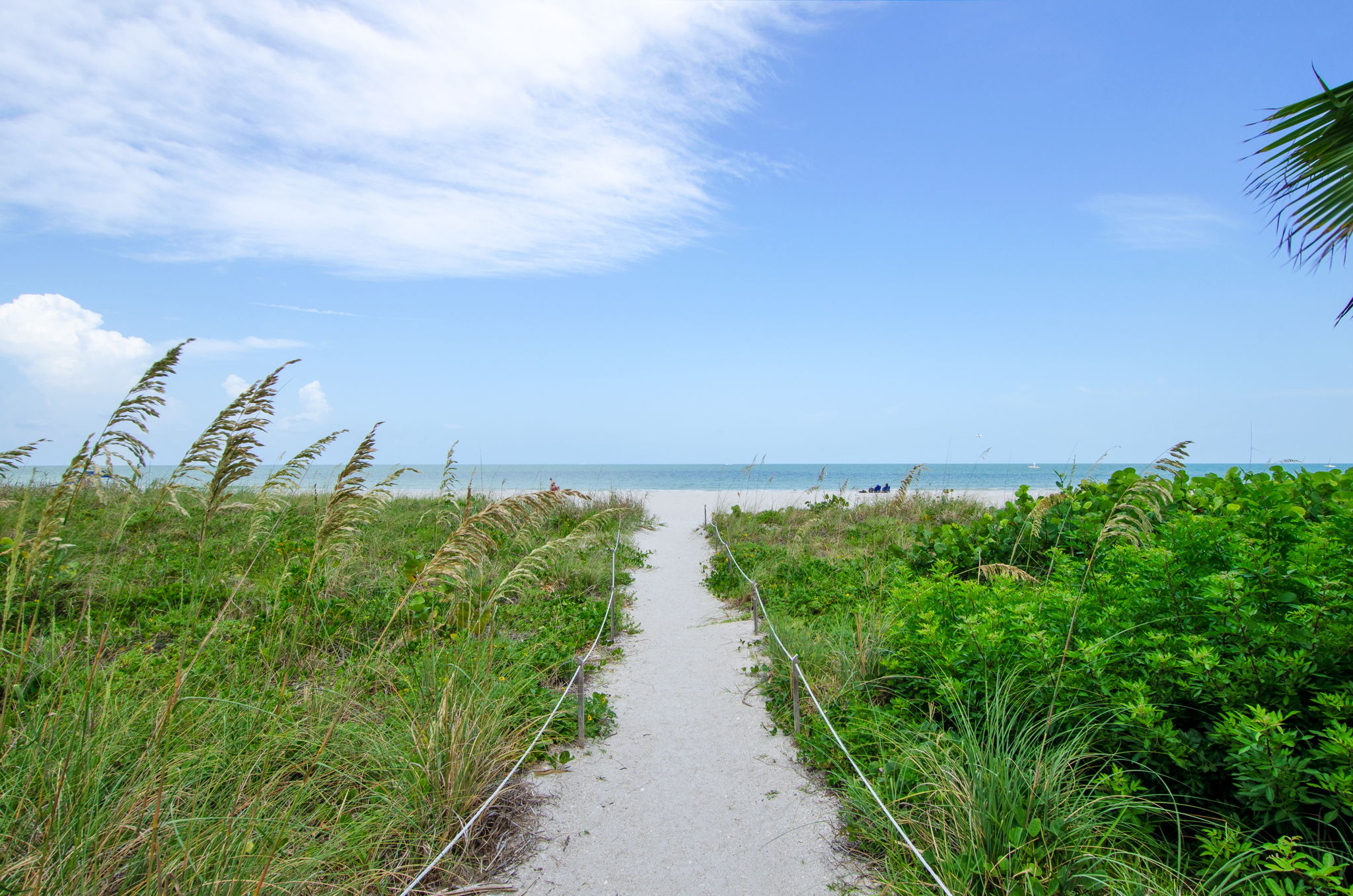 Beaches on the Gulf Coast