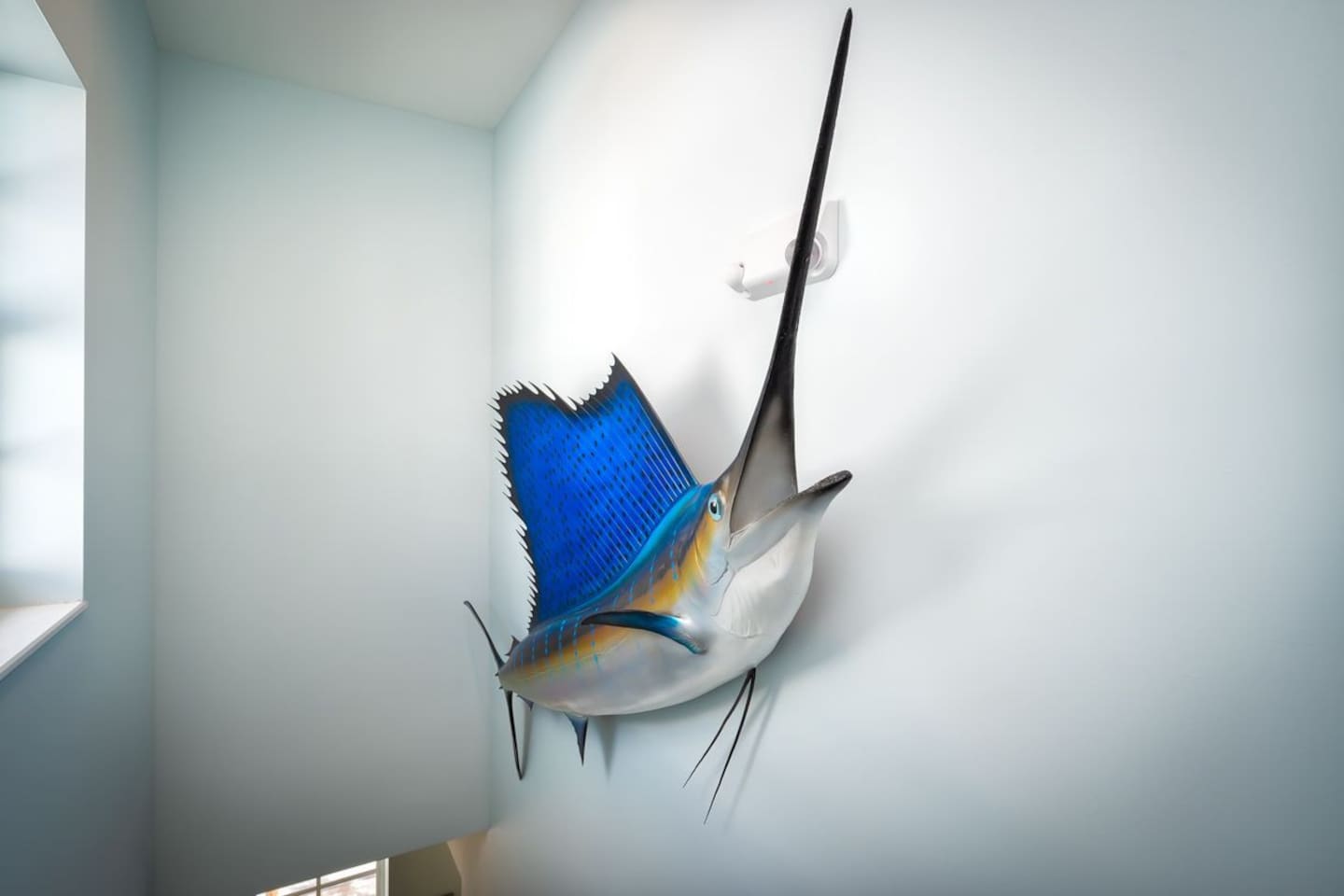 Sailfish decor