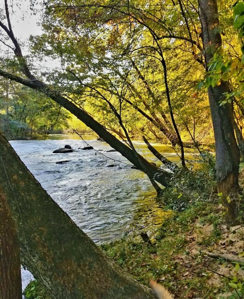 River below the cabin