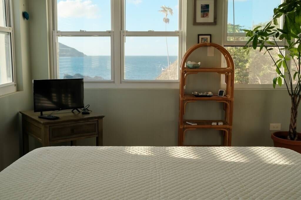 Views from the bed