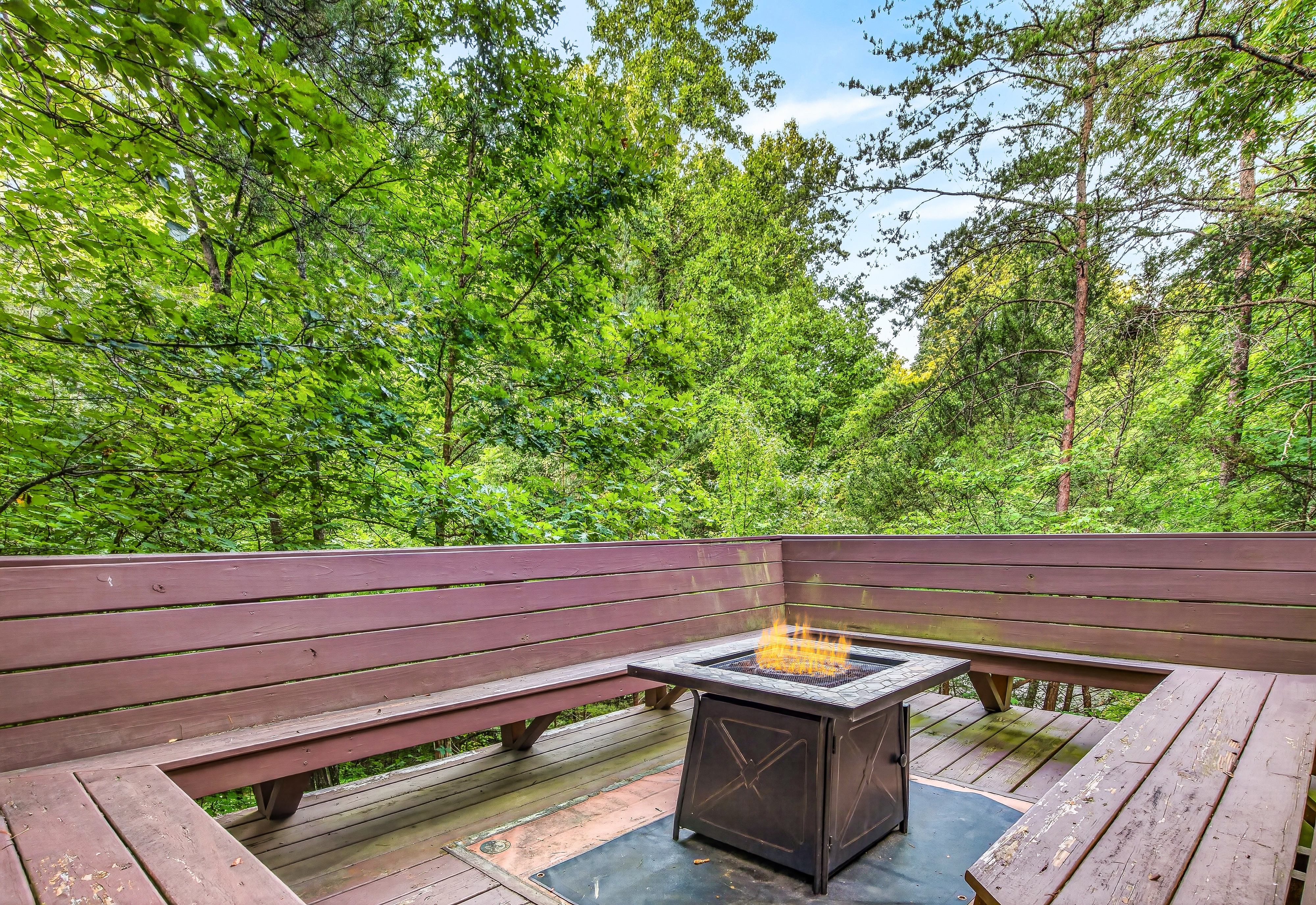 Timber Haven