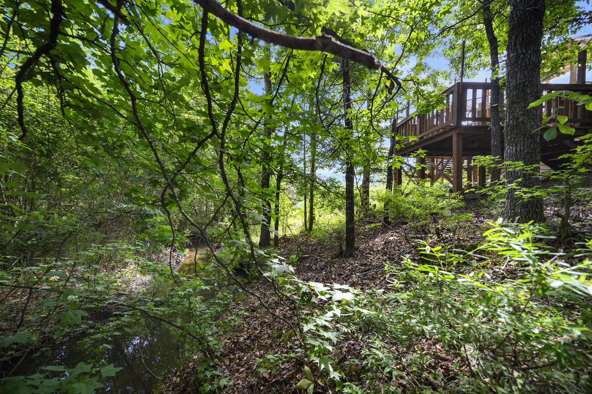Deck overlooks Seasonal Creek