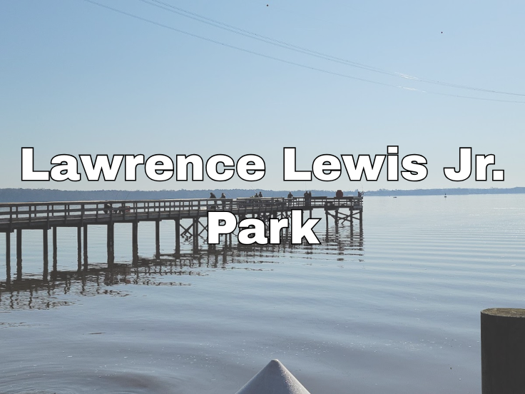 Scenic Serenity: Stroll along the serene pier at Lawrence Lewis Jr. Park, perfect for relaxation!