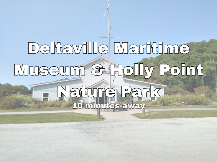 Deltaville Maritime Museum & Holly Point Nature Park: 10 minutes drive from the property!