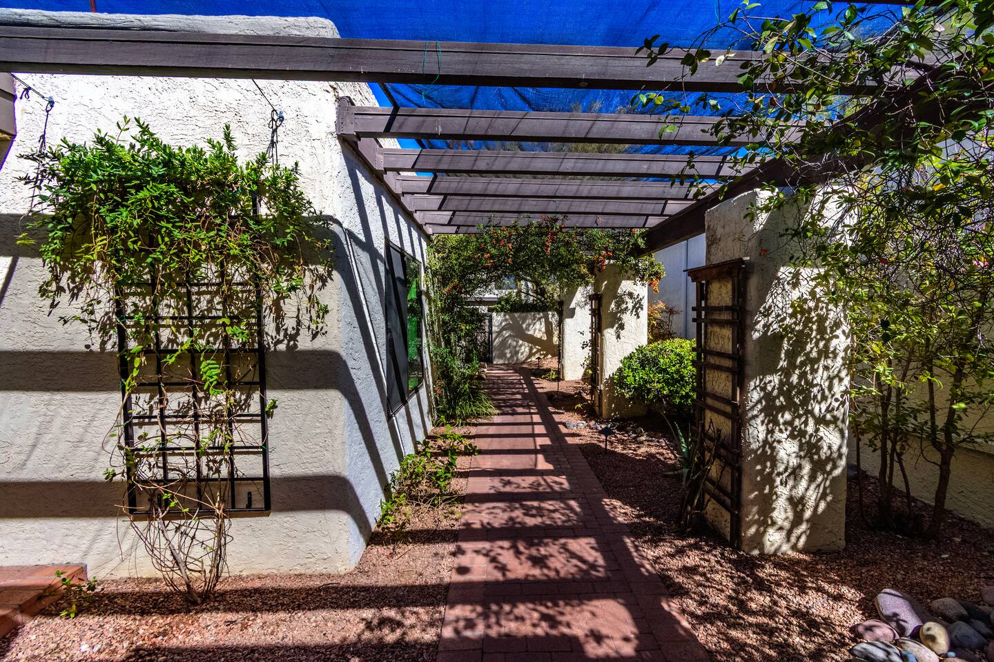 Walkway welcoming you to your desert retreat.