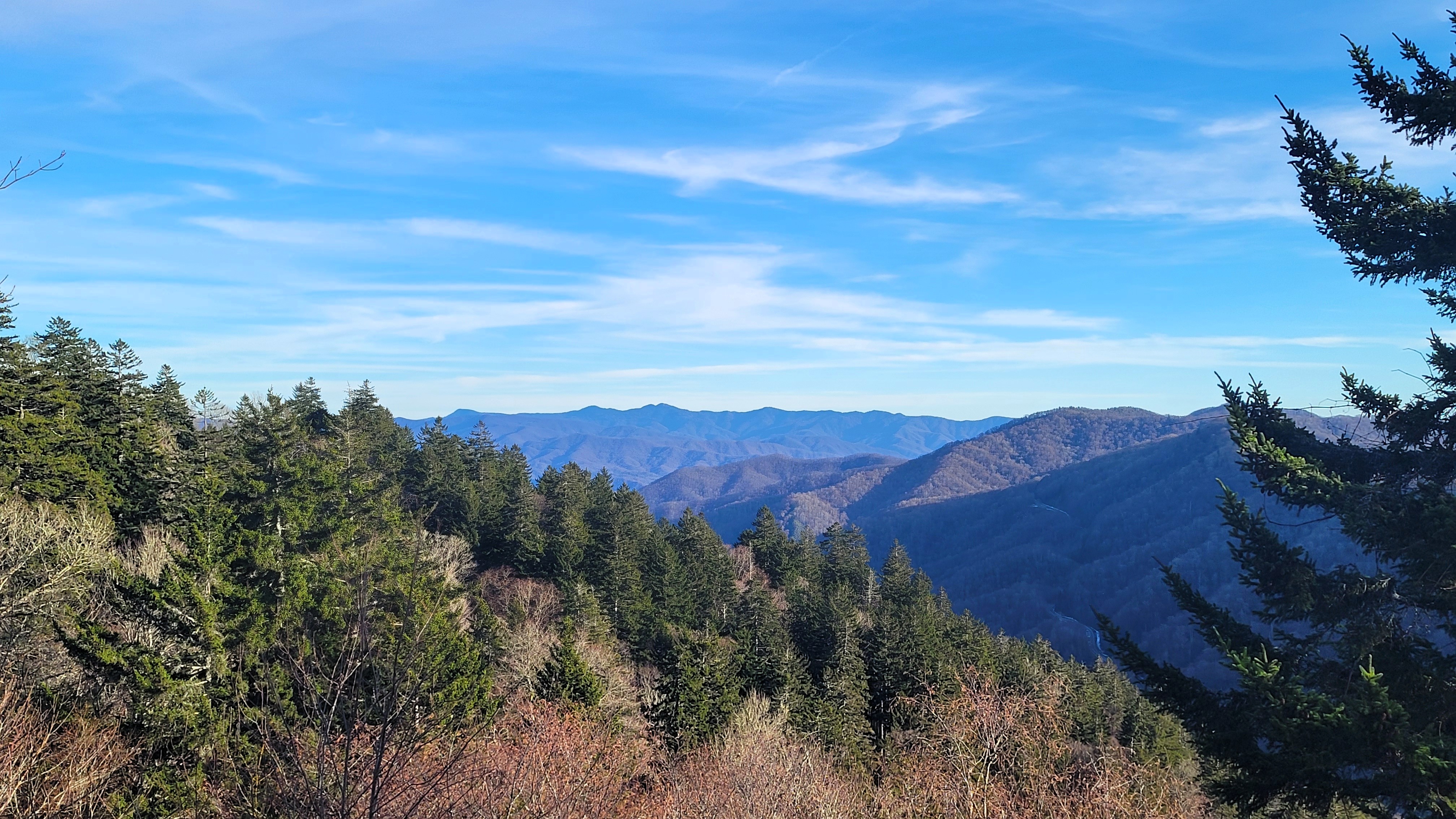 smokies view
