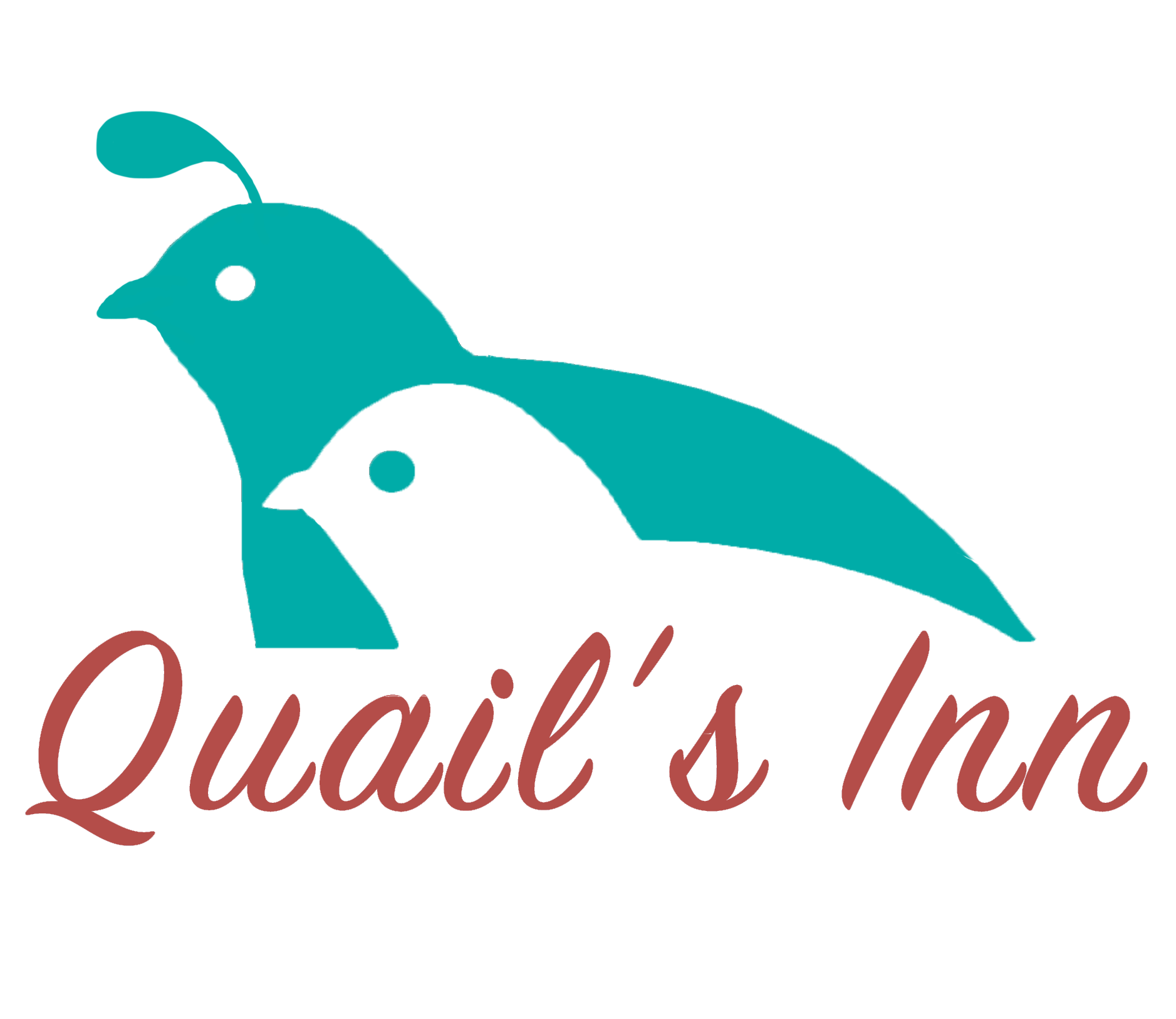 quailsinn