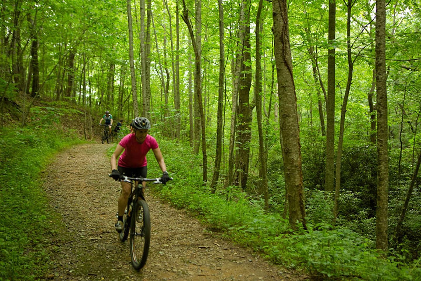 Numerous hiking and bike trails nearby
