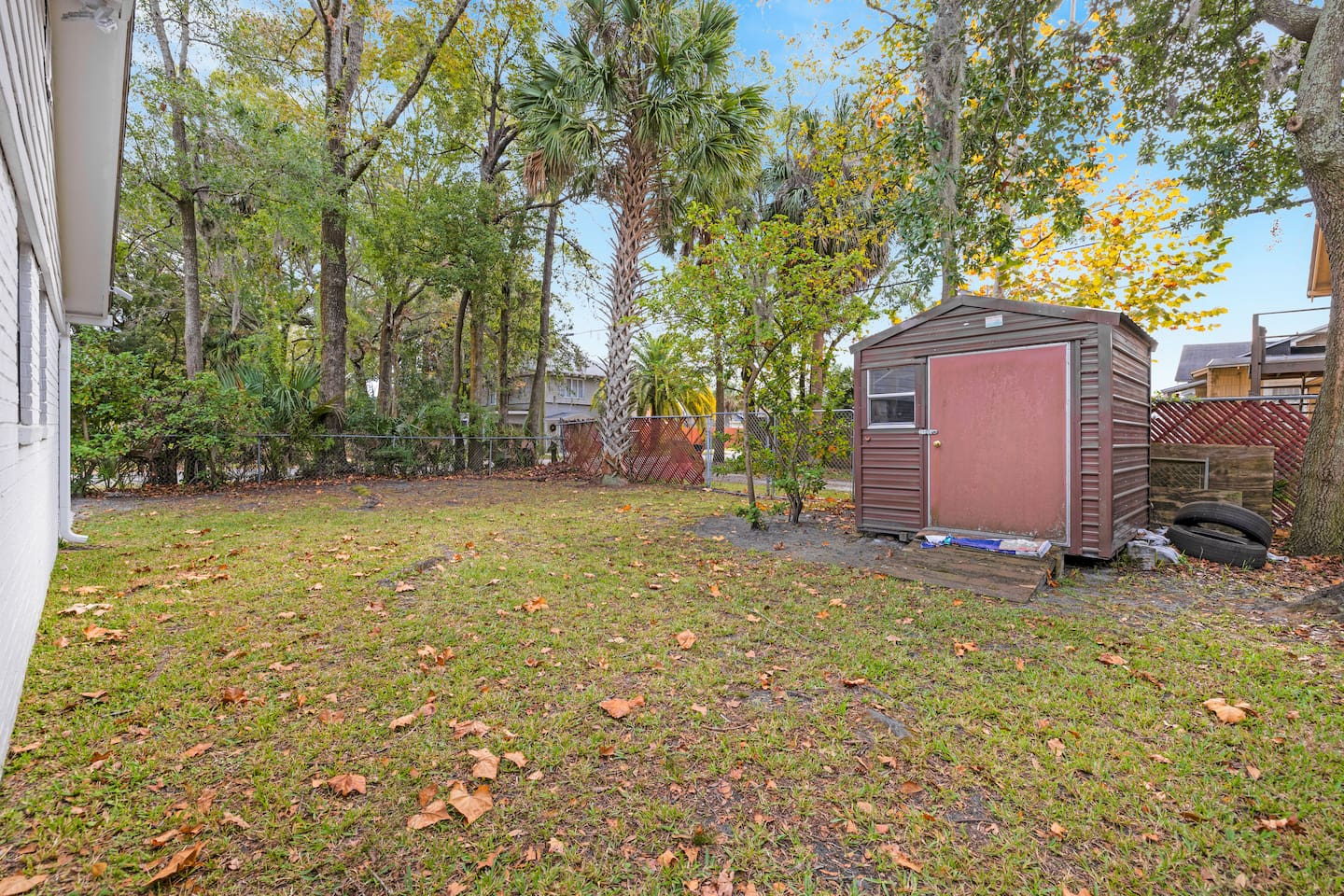 Backyard