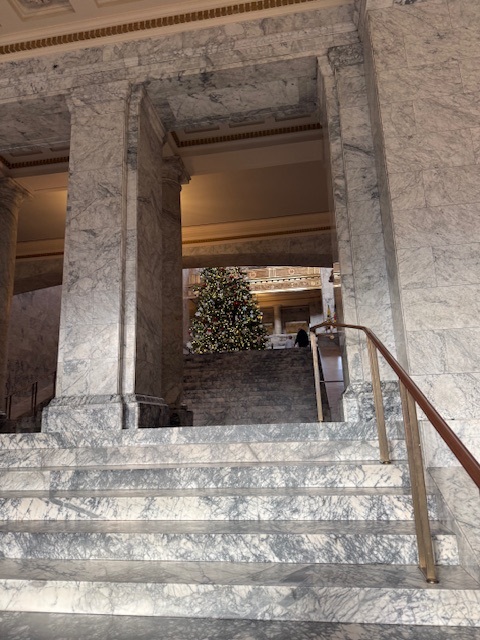 View of Capitol interior