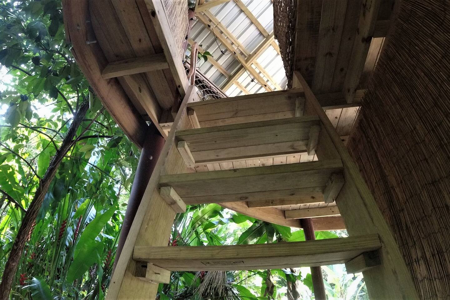 Steep Ladder