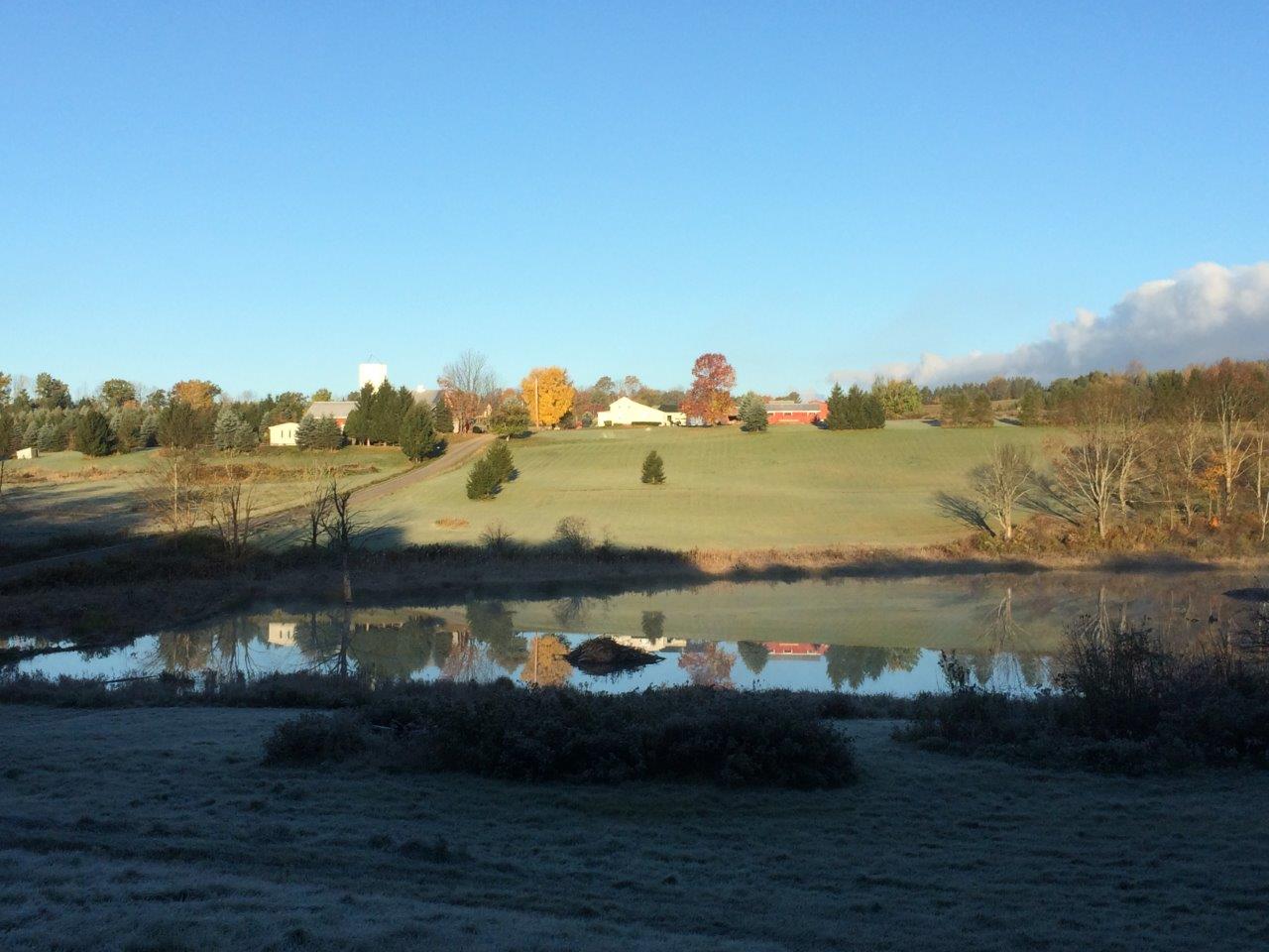 Check out the beaver lodge in the pond below your home on the hill