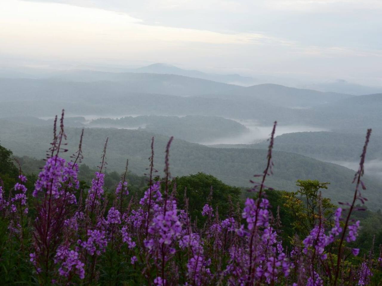 Morning view from Spruce Knob