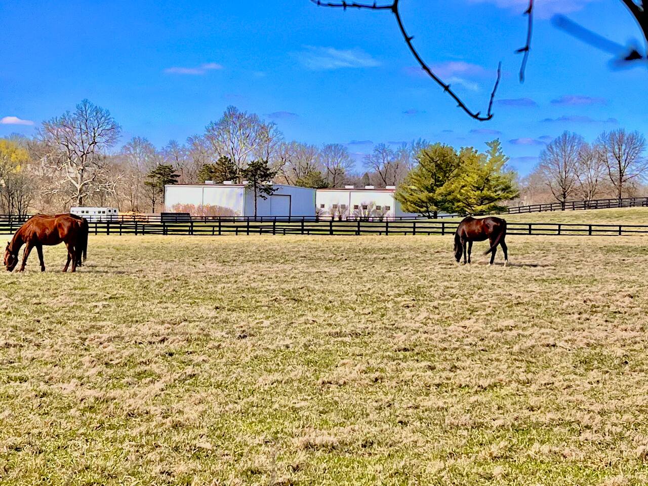 View of Historic Horse Farm from Backyard