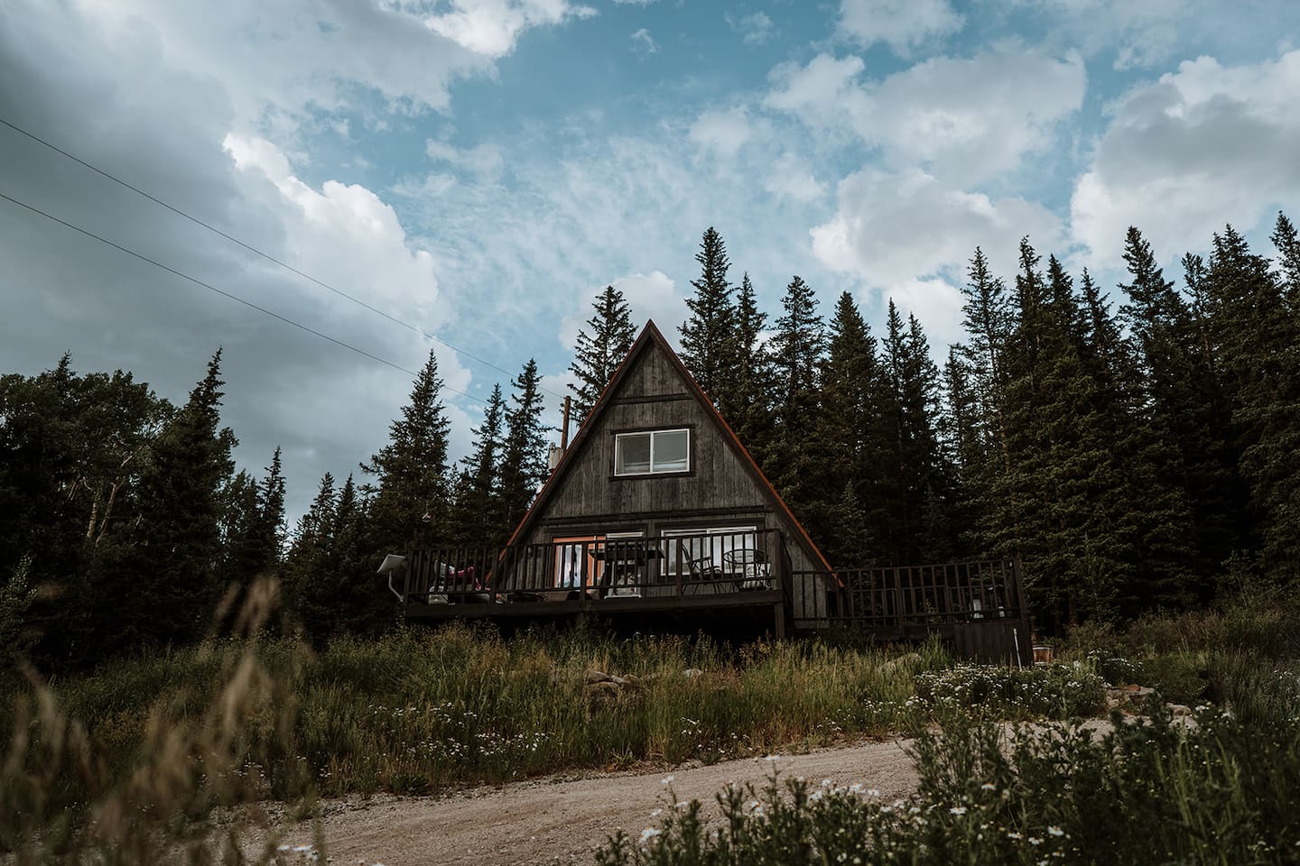 In summer, the entire property is blanketed in wild flowers and native grasses. 