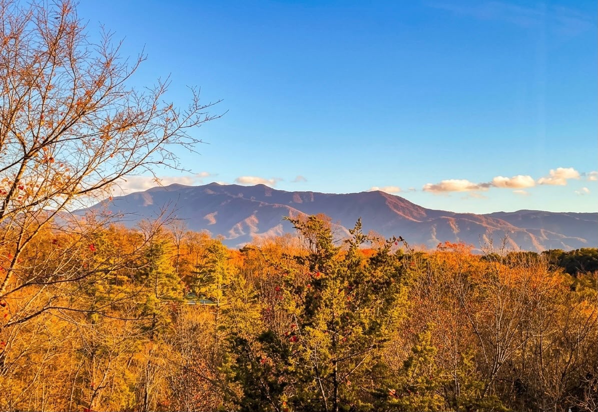 Enjoy a stunning fall view of Mt. LeConte from the primary king bedroom window.