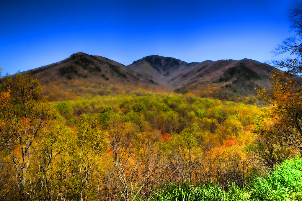 carlos campbell overlook gsmnp