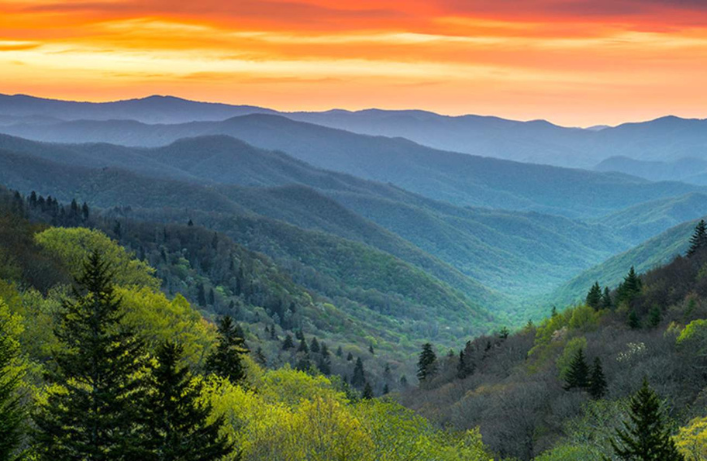 Nearby Adventure: Explore the breathtaking views of Great Smoky Mountain National Park, just 55 mins away!