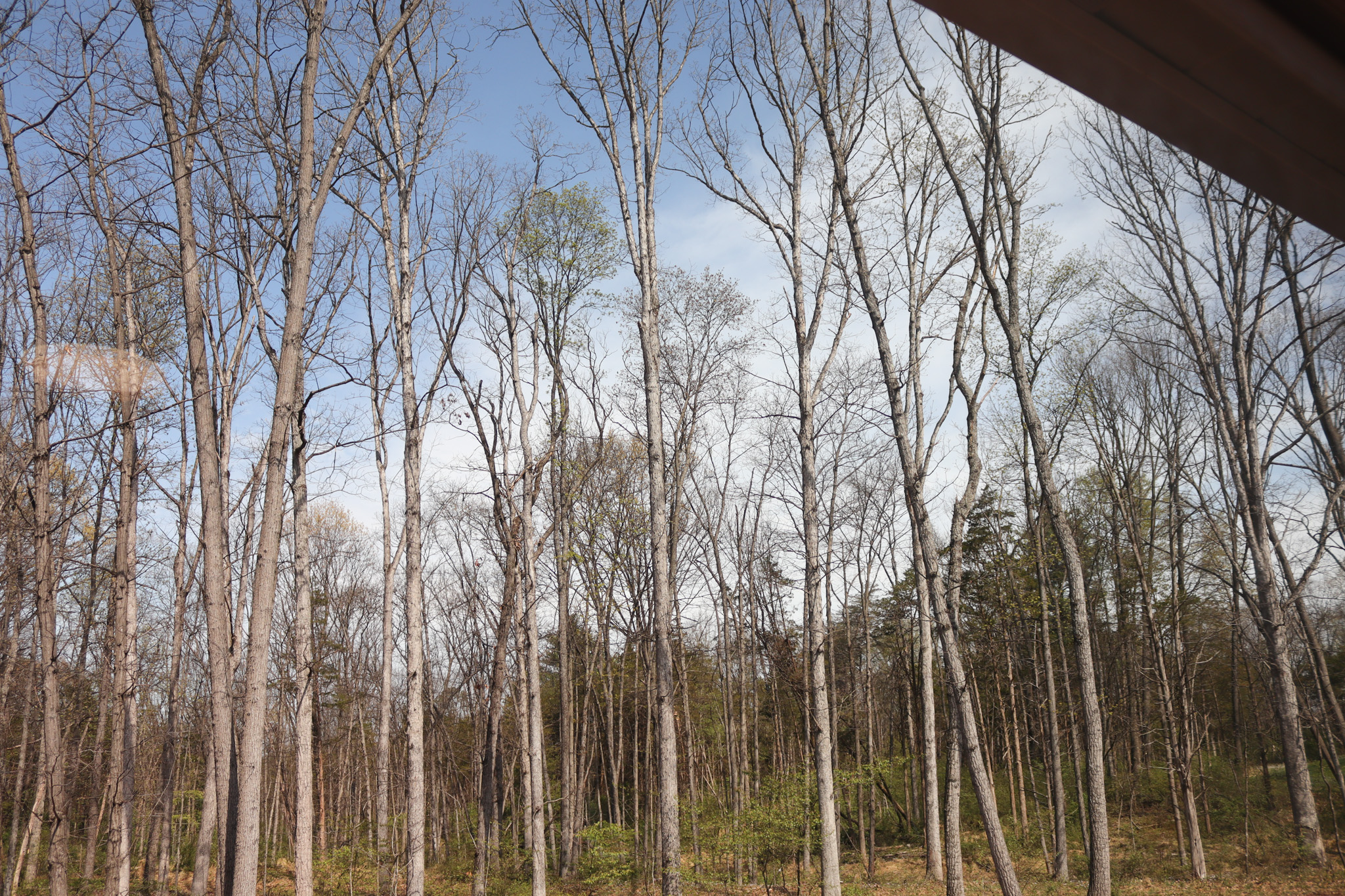 Relaxed country charm just minutes from top attractions