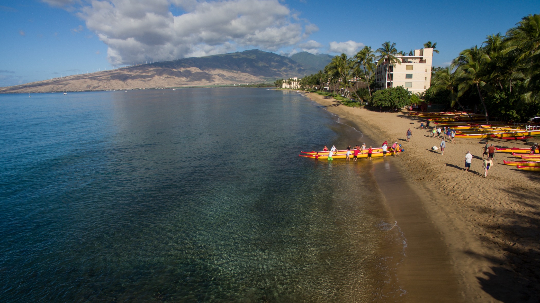 There are 3 outrigger canoe clubs within a short walk, several allow guest paddlers (for a fee)