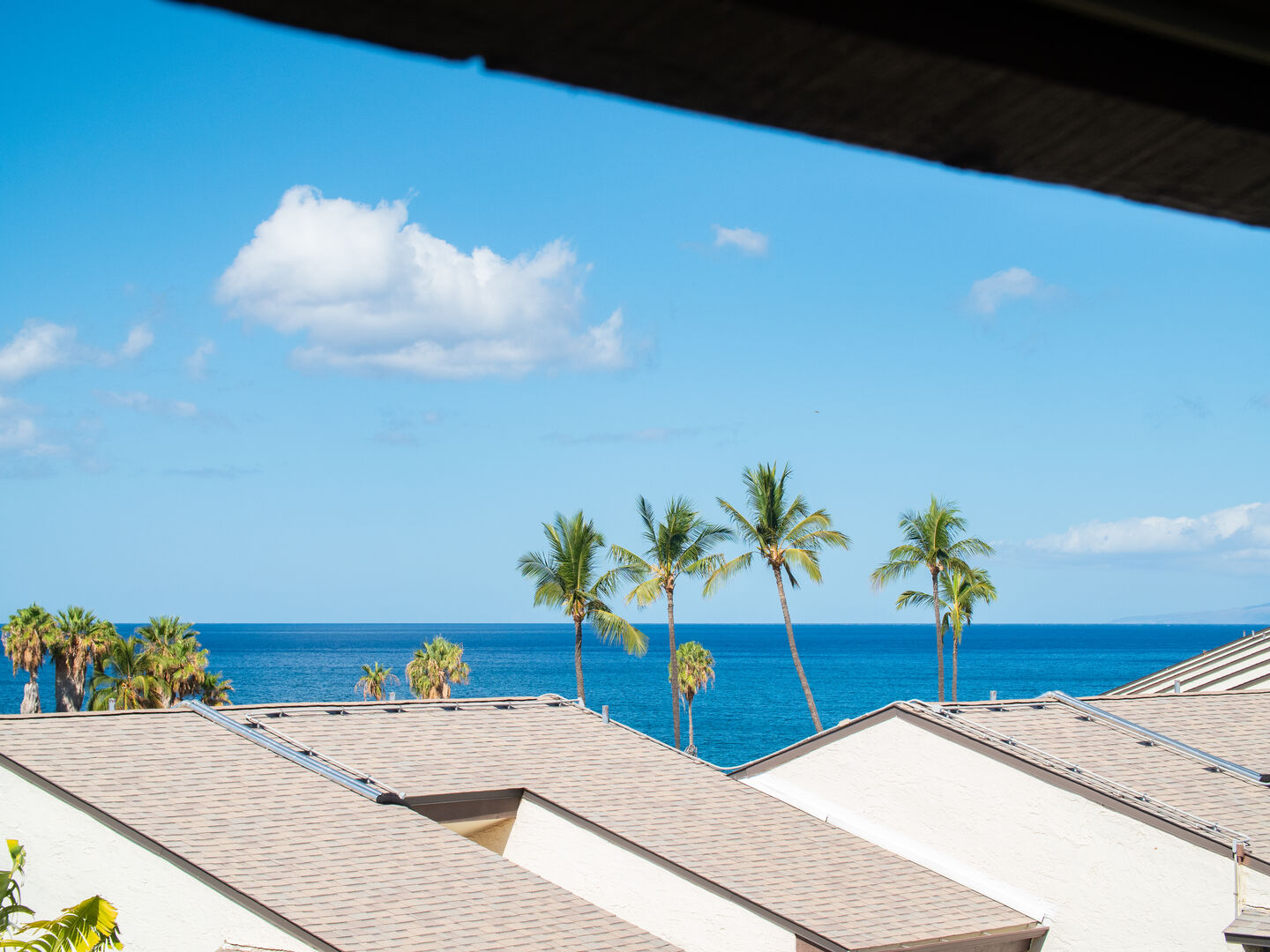 Ocean Views