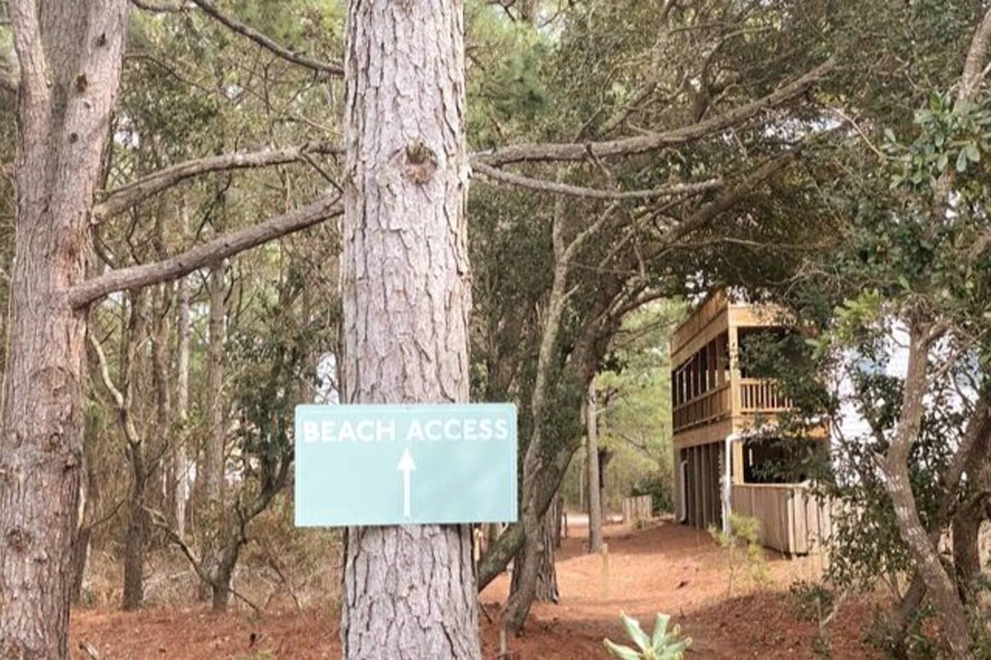 Community access path to the beach begins at the doorstep of the condo.