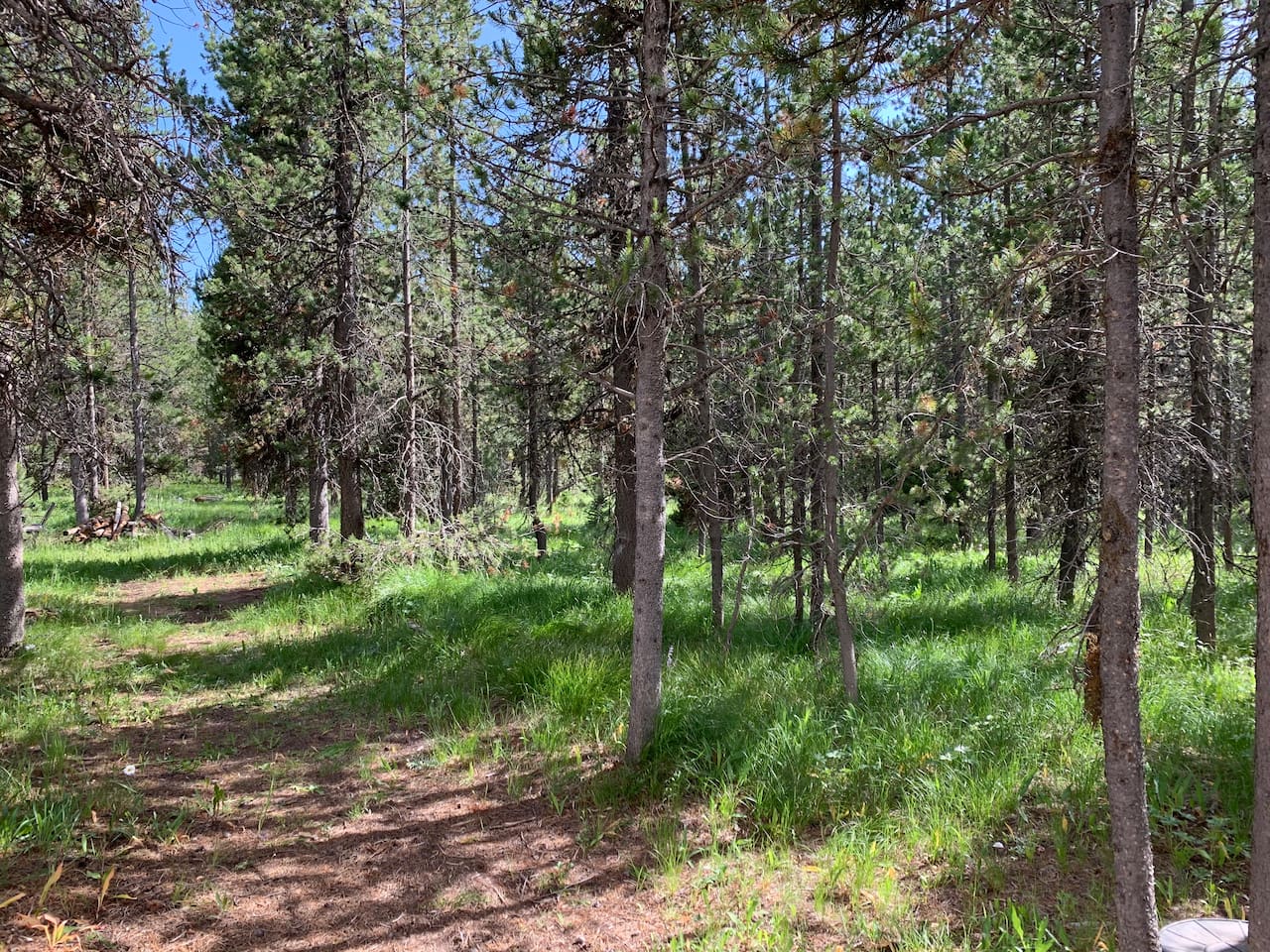 1 Acre Private Surrounding Forest Area