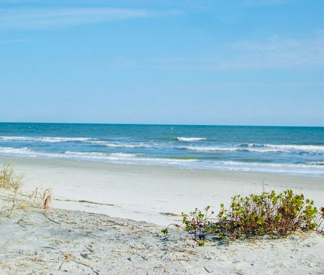 Palmetto Dunes beach