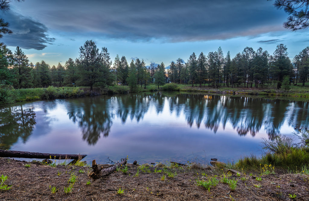 Private spring fed lake where you can do catch and release fishing without a license, swim, and enjoy the peaceful water. 