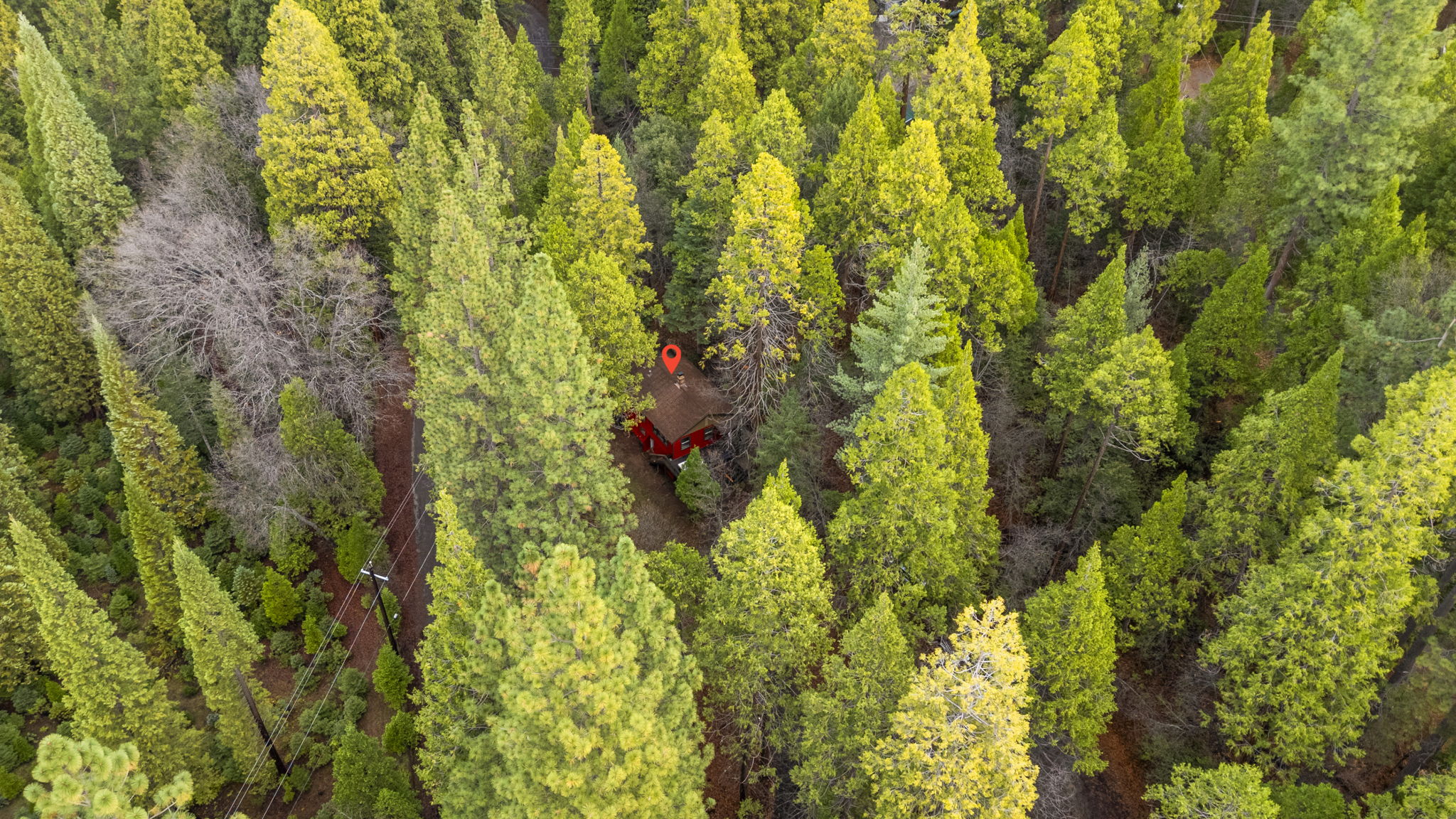 The cabin sits on 2 beautiful forested acres. There are frisbee golf cages scattered throughout.