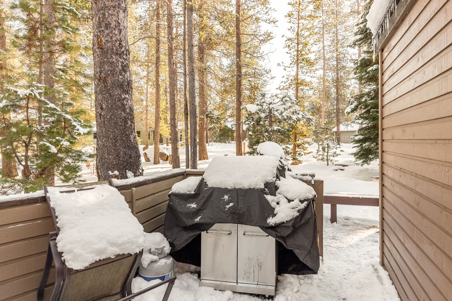 Enjoy BBQ-ing (in the summer!)