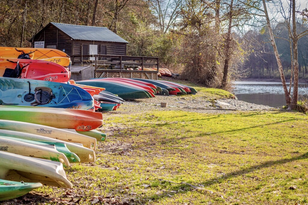 Kayak Rentals 