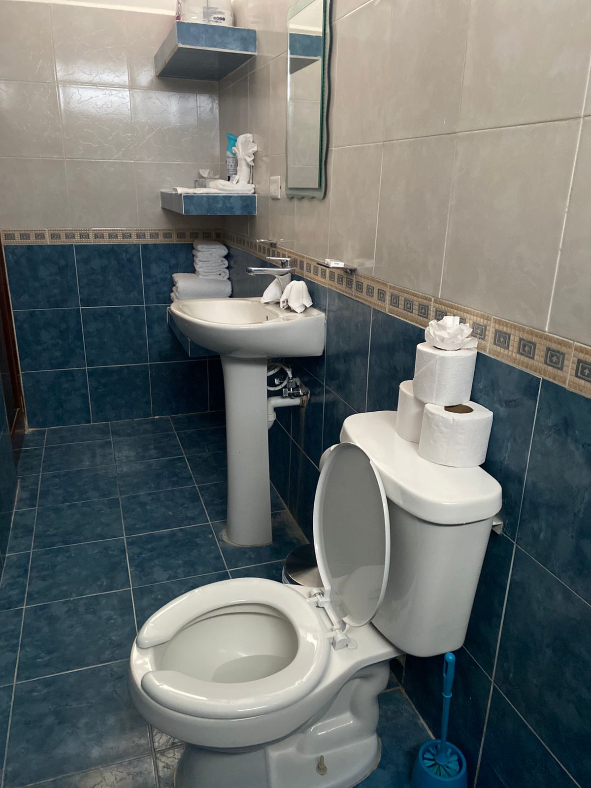 Bathroom with Walk in Shower