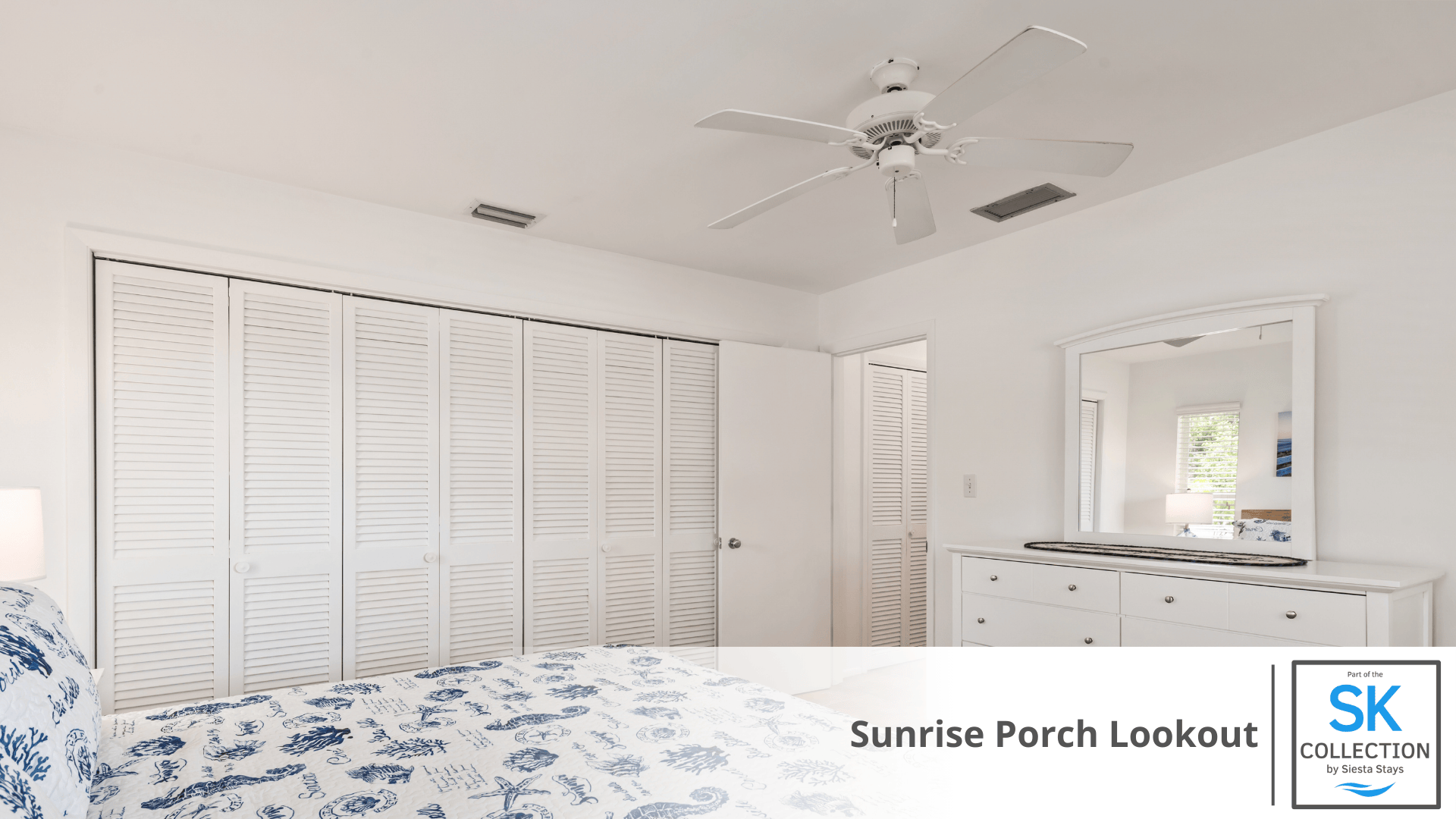 Huge Closet and Dresser