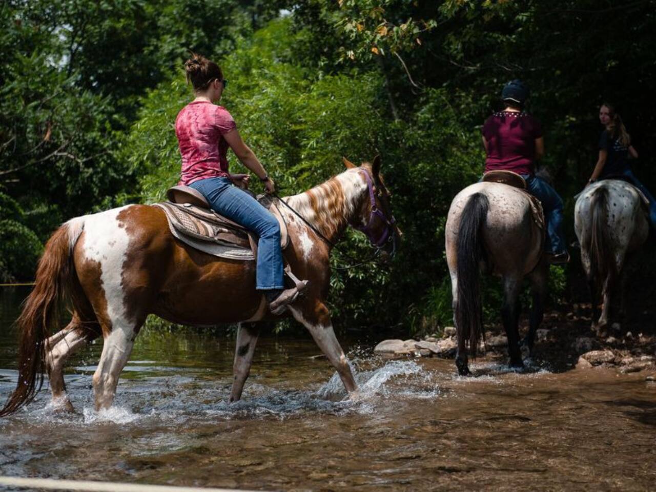 Mountain Creek Riding Stables - Horseback Riding, Pony Rides (for little kids), Wagon Rides for the Whole Family. About 24 minutes drive.